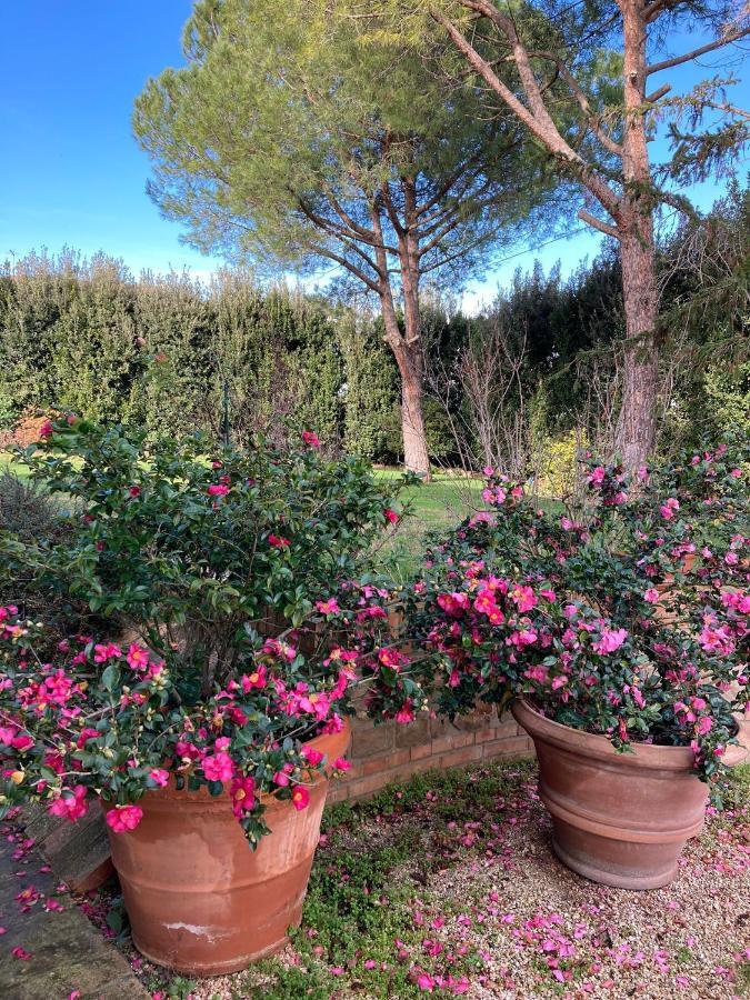 B&B Villa Fioreconero Montacuto 외부 사진